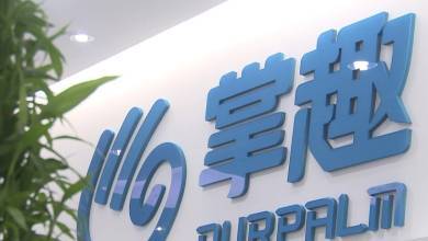 掌趣科技主力資金暗流涌動，信息服務業務能否再掀上攻行情？